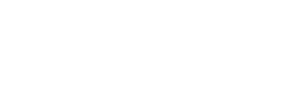 passport health plan logo